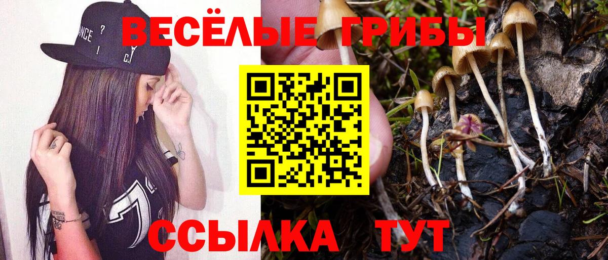Псилоцибиновые грибы Psilocybe Лабытнанги